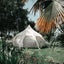 4 Metre Lotus Belle Hybrid Deluxe Glamping Bell Tent Carousel 4