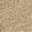 Miyuki Delica Beads 1153 Carousel 1