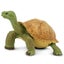 Loading Image 1 of 5