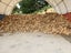 Firewood - Seasoned Pine (per m3) Carousel 1