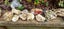 River Rocks stones for fish tank aquarium aquascaping rock stone gardening Carousel 2