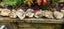 River Rocks stones for fish tank aquarium aquascaping rock stone gardening Carousel 4