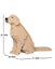Jekca Animals - Golden Retriever Sitting 22cm Carousel 2