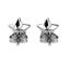 18K White Gold stud earring with Austrian crystals "Star" (Crystal) Carousel 4