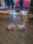 Vintage Glass Candlestick Holders Carousel 1