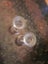 Vintage Glass Candlestick Holders Carousel 2