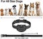 Dog Training Collar 2 Dogs Carousel 4