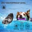 Dog Training Collar 2 Dogs Carousel 3