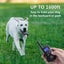 Dog Training Collar 2 Dogs Carousel 2
