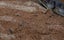 Humbrol AV0102 Humbrol Smart Mud for Diorama Texturing Carousel 2