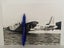 Loading Image 1 of 1