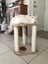 20% Off RRP**Brand New Stool Cat Tree**Height 54cm** Carousel 5
