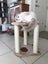 20% Off RRP**Brand New Stool Cat Tree**Height 54cm** Carousel 6