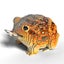 Loading Image 2 of 2