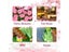 Sakura Flower Treehouse DIY Model Micro Building Block Indoor Decorations Carousel 8