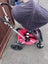 Bugaboo Cameleon Pushchair - Red & Black Carousel 5