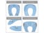 PTN NEW Portable Potty Training Seat Sale Sale Carousel 16