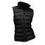 Result Ladies/Womens Ice Bird Padded Bodywarmer / Carousel 3