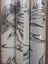 Wallpaper. Saimiri - Anthracite. 3 roll bundle Carousel 4