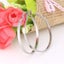 Stainless Steel Hoop Earrings For Women Big Round Circle Hoop Earring Pop Carousel 1