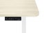 Standing Desk Carousel 7