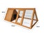 Rabbit Hutch Carousel 6