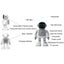 App Intelligent Programming Astronaut Bluetooth Audio Dancing Robot Silver Gray Carousel 3