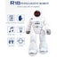 R18 Gesture Sensing Remote Control Robot Silver Carousel 14
