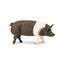Loading Image 1 of 4
