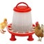 Loading Image 1 of 7