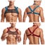 Elastic Harness Carousel 3