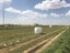 Bale wrap / silage film 750mm*25um*1500m Carousel 4