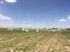Bale wrap / silage film 750mm*25um*1500m Carousel 5