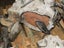 gallery view thumbnail