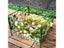 4/6pcs Garden Fence Border Decorative Outdoor Landscape Wire Border Edging Carousel 6