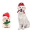 Candy Cane Rope Toy for Puppies, Cotton Chew Dog Toy & Christmas Decoration Carousel 2