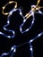Loading Image 4 of 4