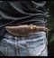 'Fish Head' 25cmRARE Clay Tempered Outdoor Survival Camping Knife Dagger Hunting Carousel 1