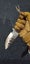 'Fish Head' 25cmRARE Clay Tempered Outdoor Survival Camping Knife Dagger Hunting Carousel 14