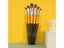 6pcs/set Weasel Hair Flat Peak Acrylic Art Brush For Painting Supplies Carousel 7