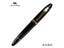 Fountain Pen Carousel 5