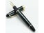 Fountain Pen Carousel 4