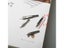 5pcs Various Medium Nib Fountain Pen Universal Other Pen 26 The Series Student Carousel 5