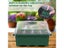 Seed Starter Tray Plant Starter Kit And Base Mini Greenhouse Germination Kit Carousel 3