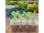 Seed Starter Tray Plant Starter Kit And Base Mini Greenhouse Germination Kit Carousel 4