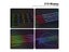 Full Color Streamer Car RGB 64 Color Universal LED Interior Strip Lamp Carousel 4