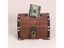 Treasure Chest With Lock Vintage Treasure Storage Box Piggy Bank Organizer Carousel 4
