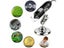 1600X 3in1 Type-C USB Portable Electronic Microscope Camera LED Magnifier For Carousel 7