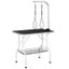 Pet Dog Grooming Table Professional Foldable Beauty Desk Carousel 4
