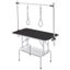 Pet Grooming Table Carousel 6